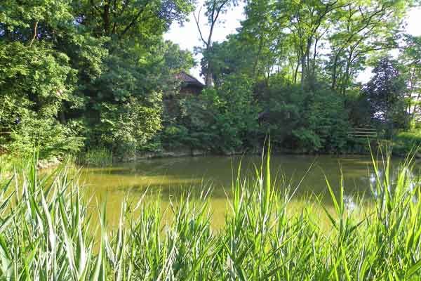 Ein ruhiges Fleckchen Erde