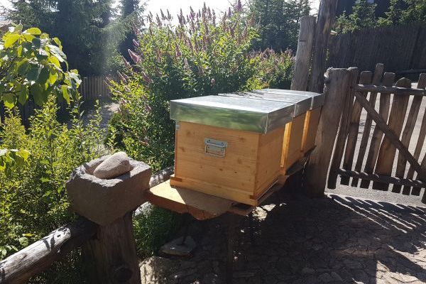 Die Bienen von Paul Rinner